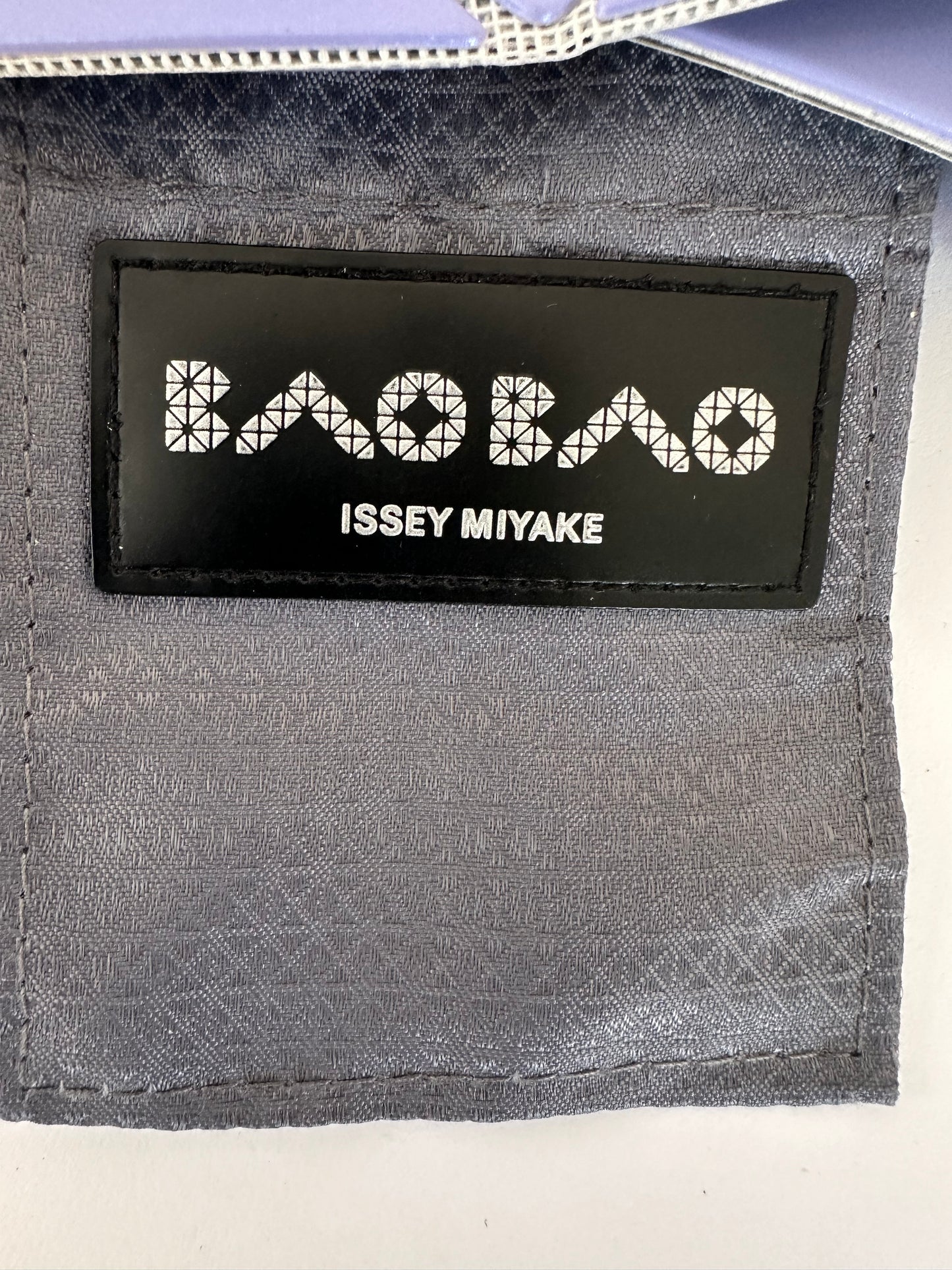 BAO BAO ISSEY MIYAKE Purple Lucent Frost Small Pouch