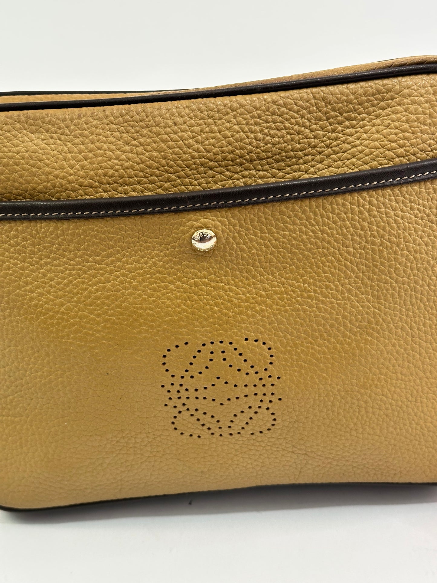 Loewe Brown Amazona Leather Crossbody Bag Beige