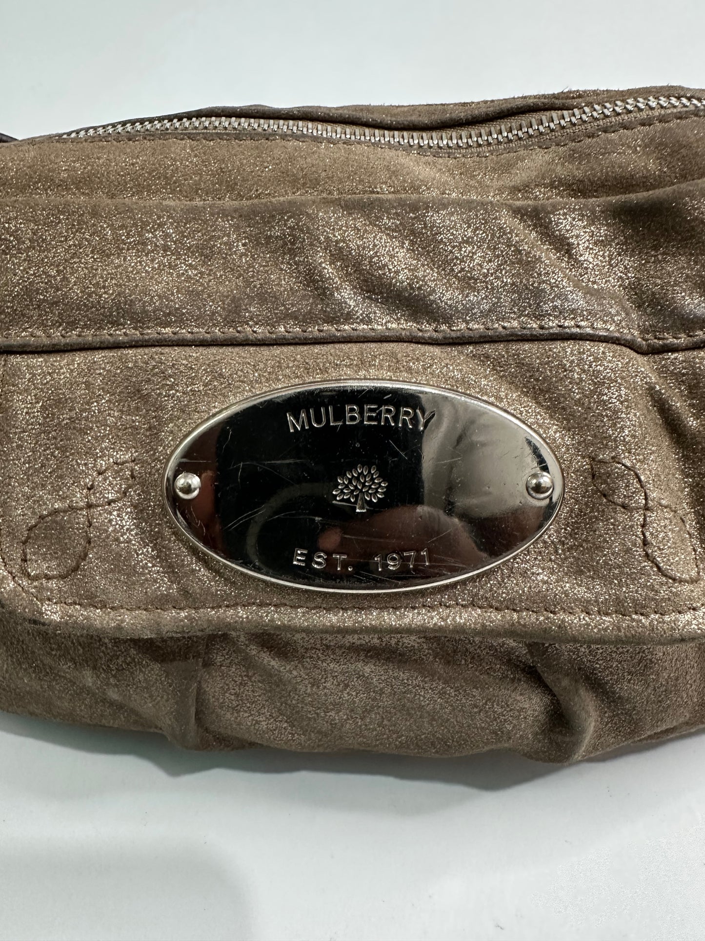 Mulberry Mettalic Leather Crossbody Bag