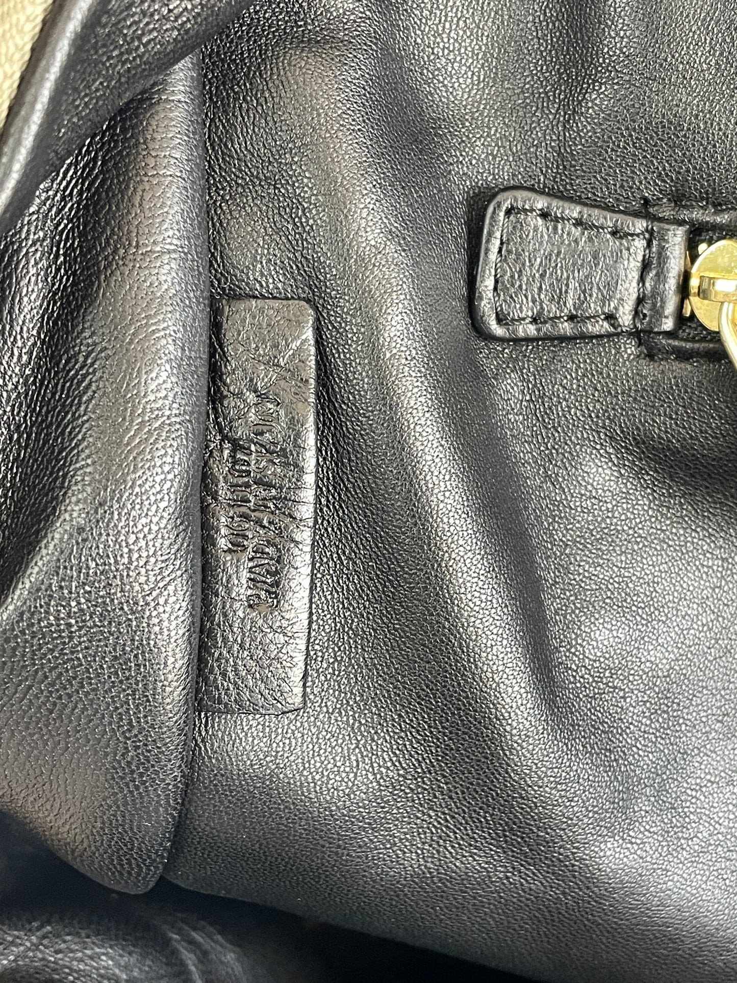 Loewe Metallic Beige Leather Amazona Satchel