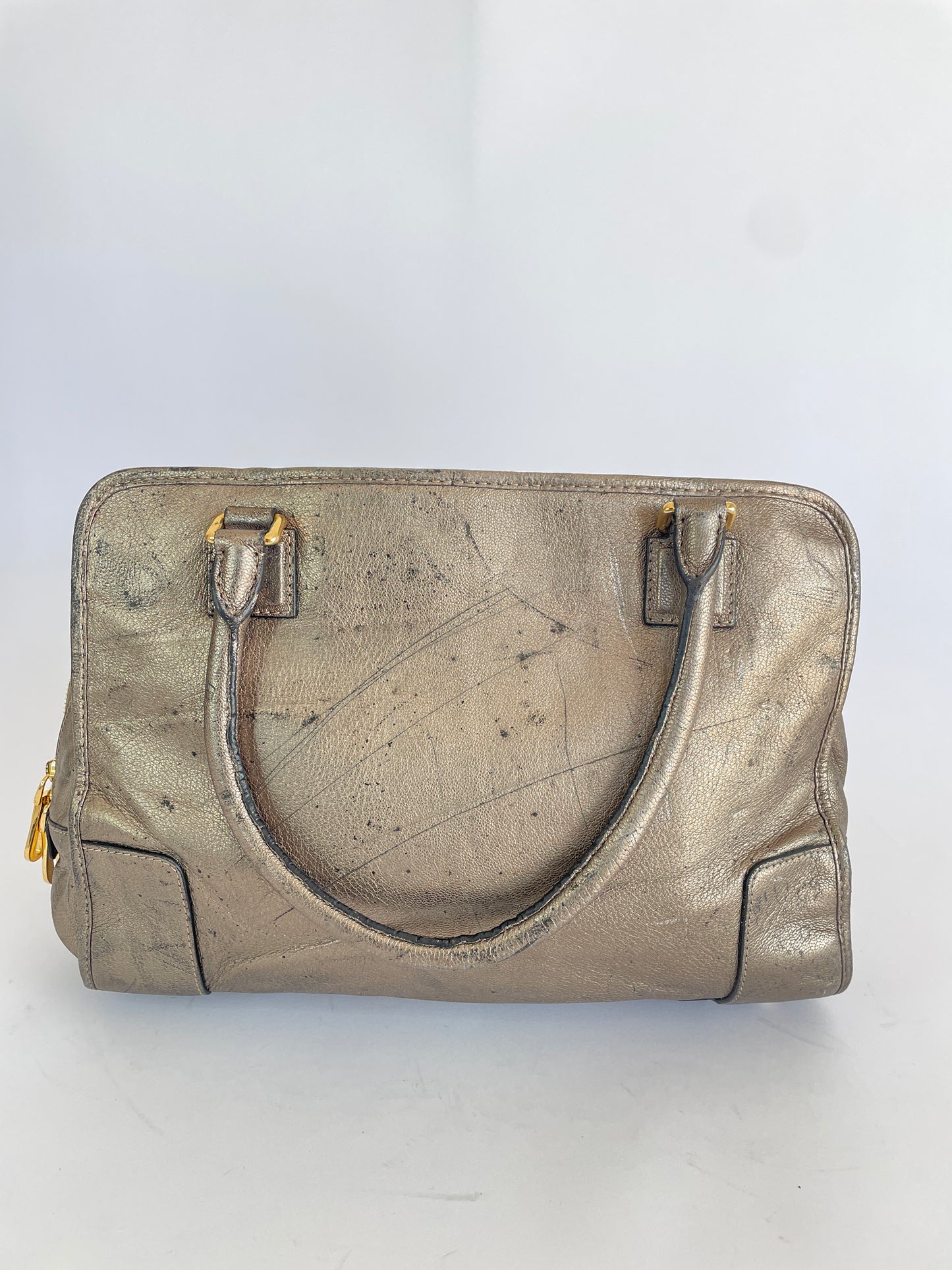 Loewe Metallic Beige Leather Amazona Satchel