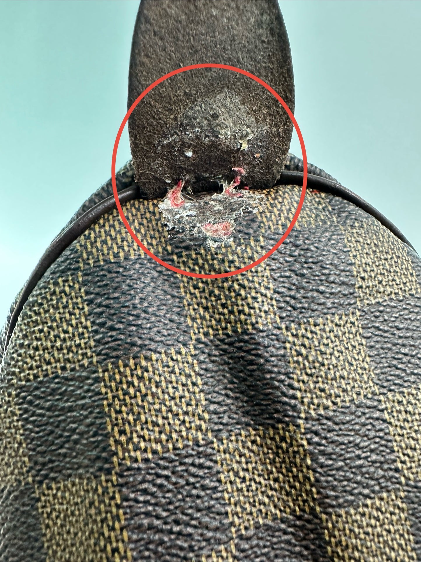 LOUIS VUITTON Damier ebene Speedy 30