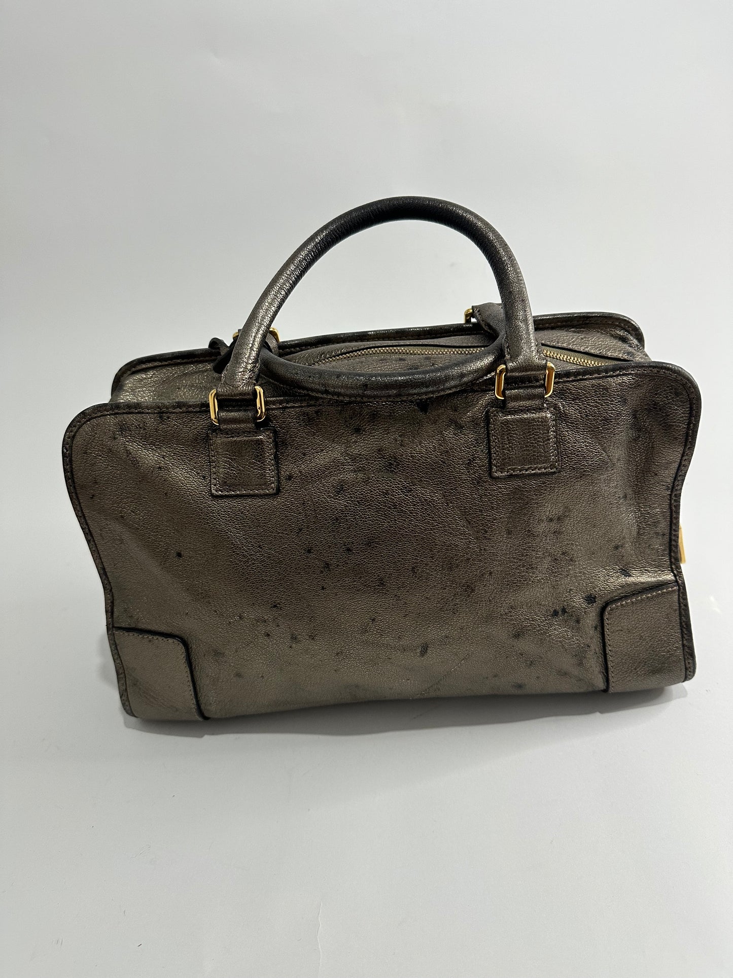 Loewe Metallic Beige Leather Amazona Satchel