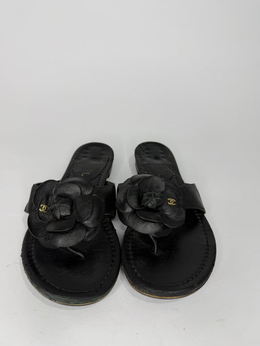 Chanel Black Leather CC Camellia Thong Flat Sandals Size 37