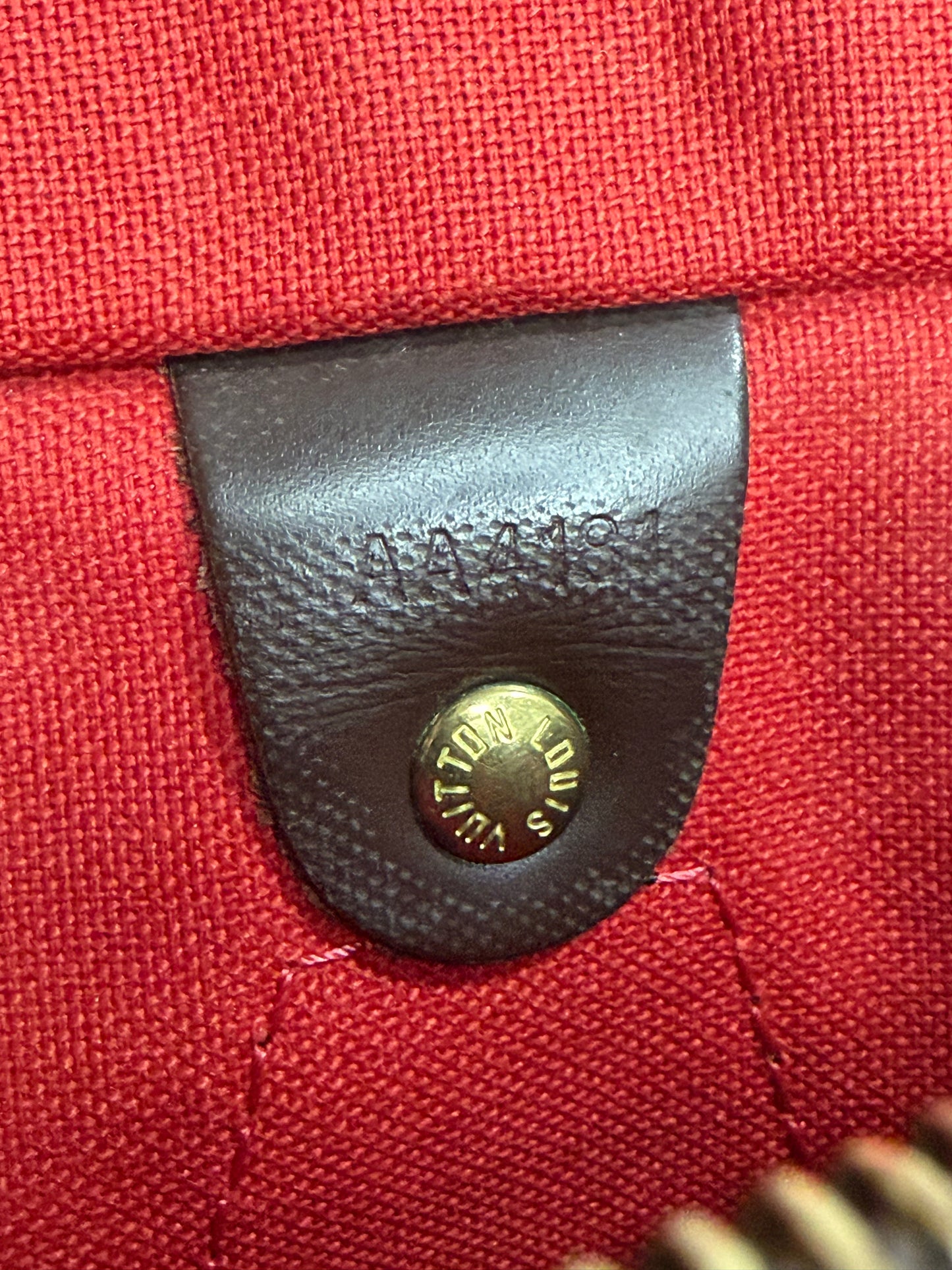 Louis Vuitton Damier Ebene Canvas Speedy 25 Bag