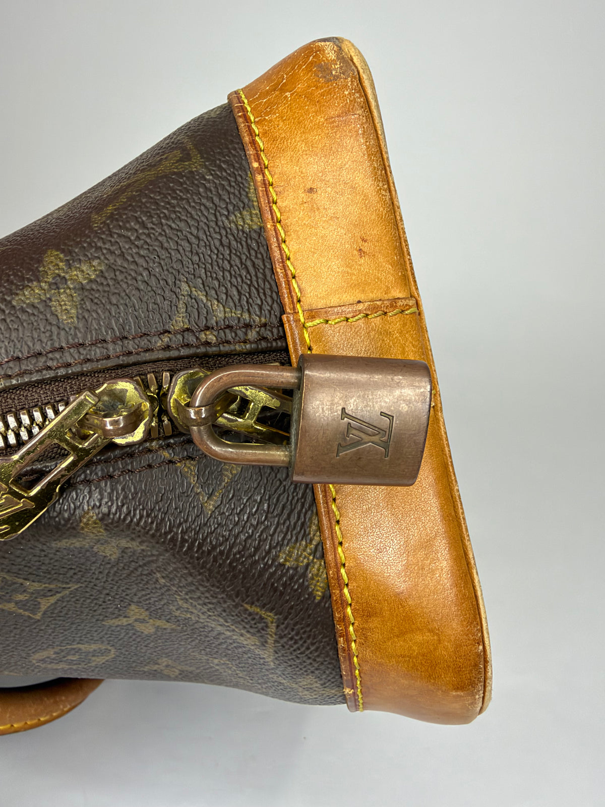 Louis Vuitton Monogram Canvas and Leather Alma PM Bag