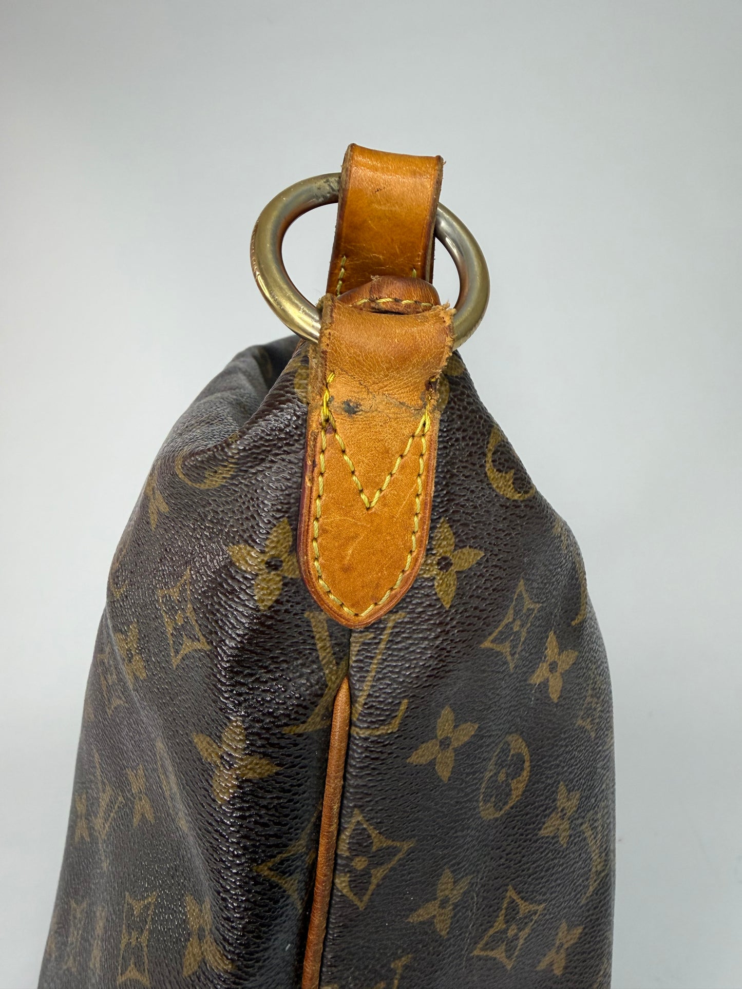 Louis Vuitton Monogram Canvas Delightful MM Bag