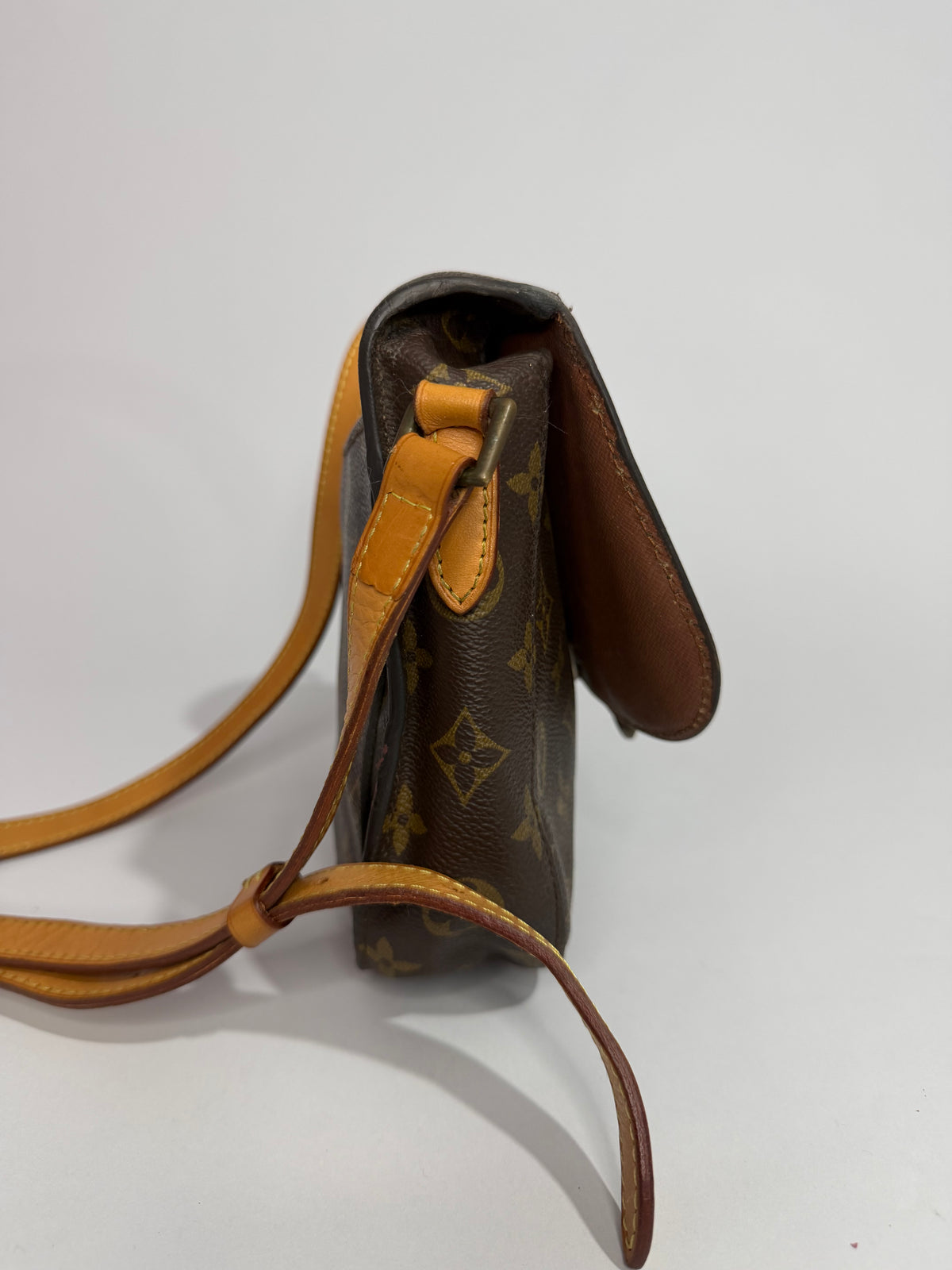 Louis Vuitton Monogram Canvas Saint Cloud Bag