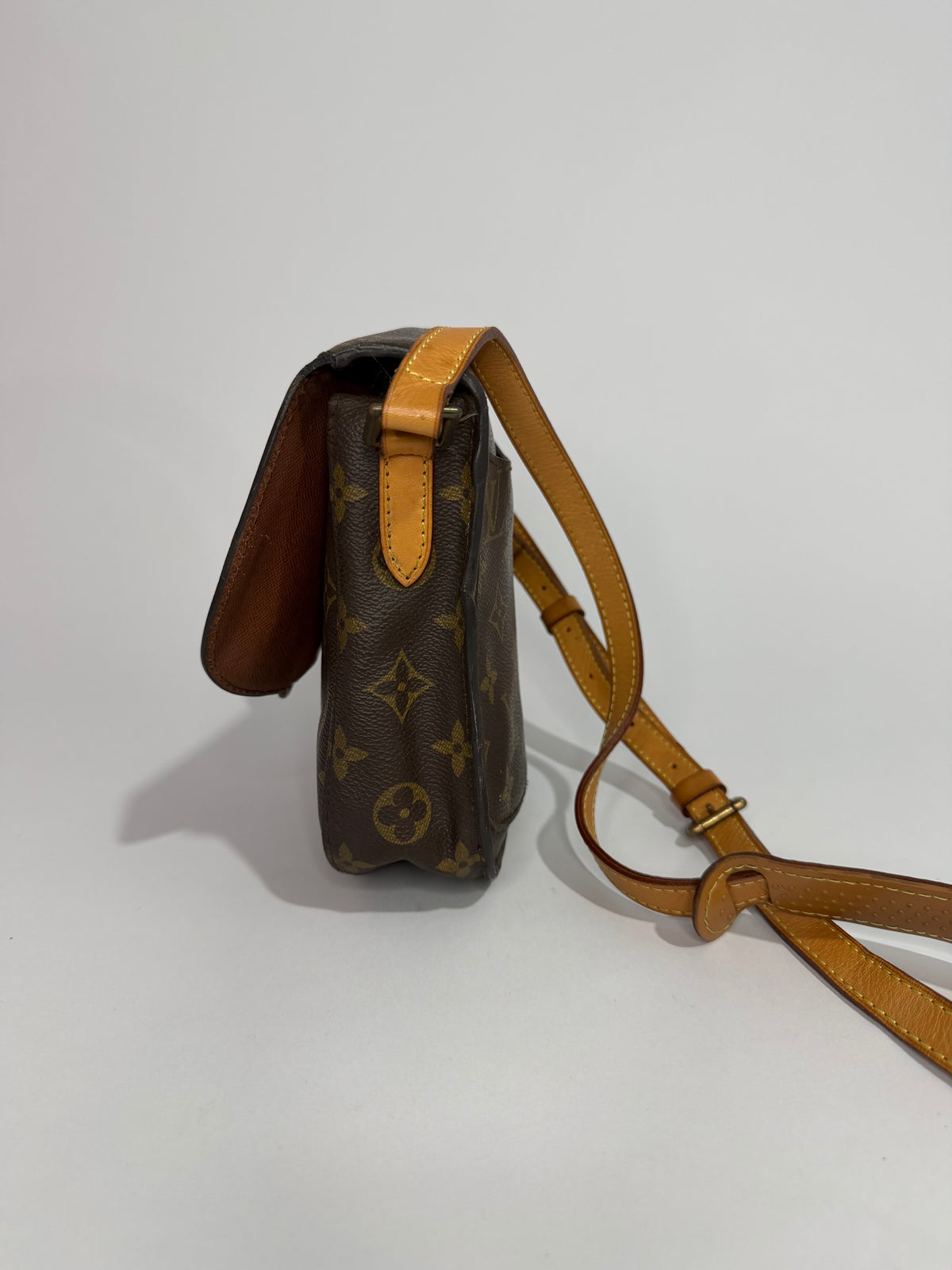 Louis Vuitton Monogram Canvas Saint Cloud Bag