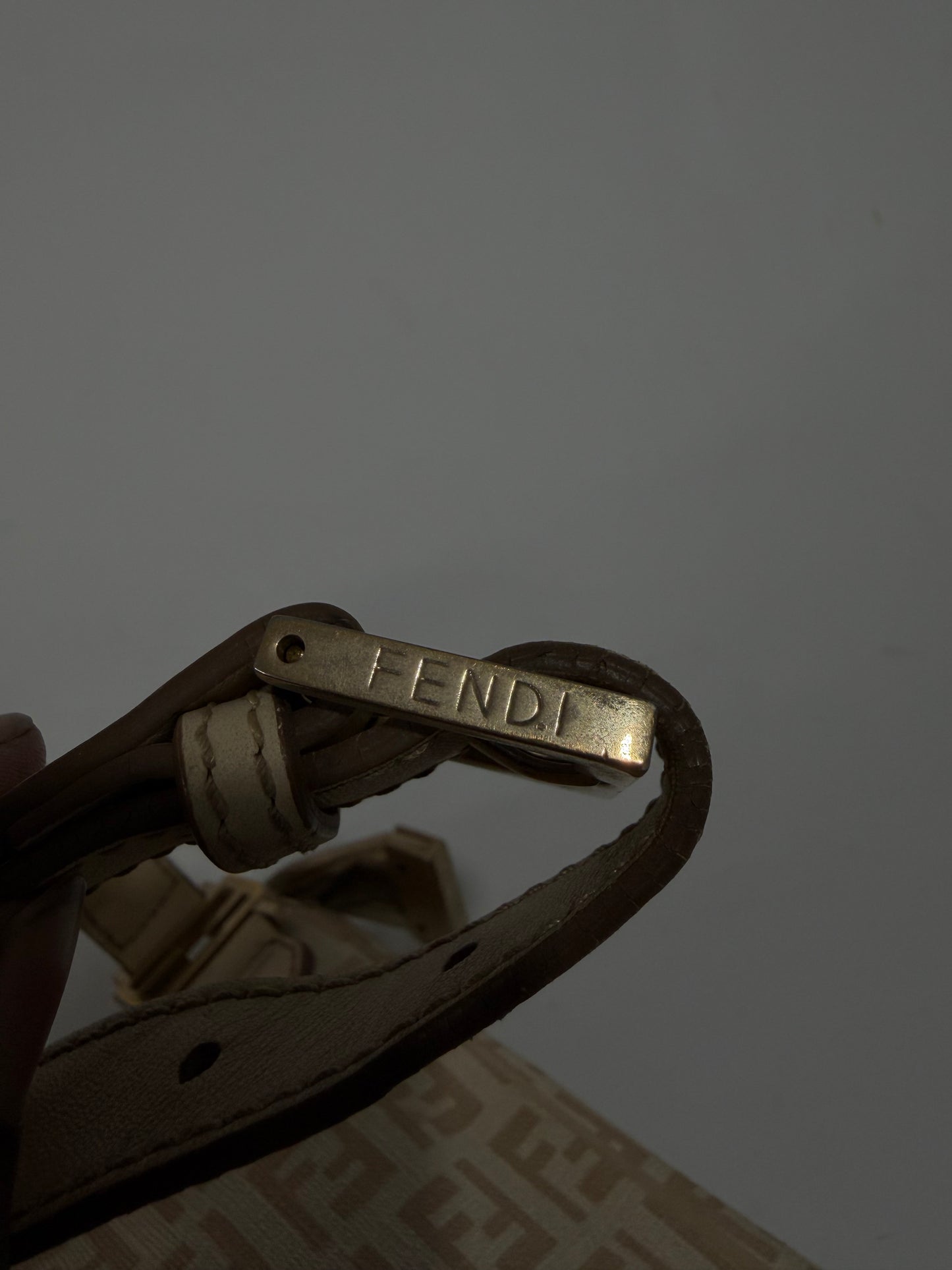 FENDI PRE-OWNED
2000-2010 Zucchino Canvas crossbody bag