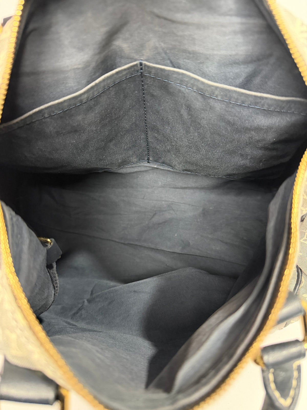 Louis Vuitton Encre Monogram Idylle Speedy 30