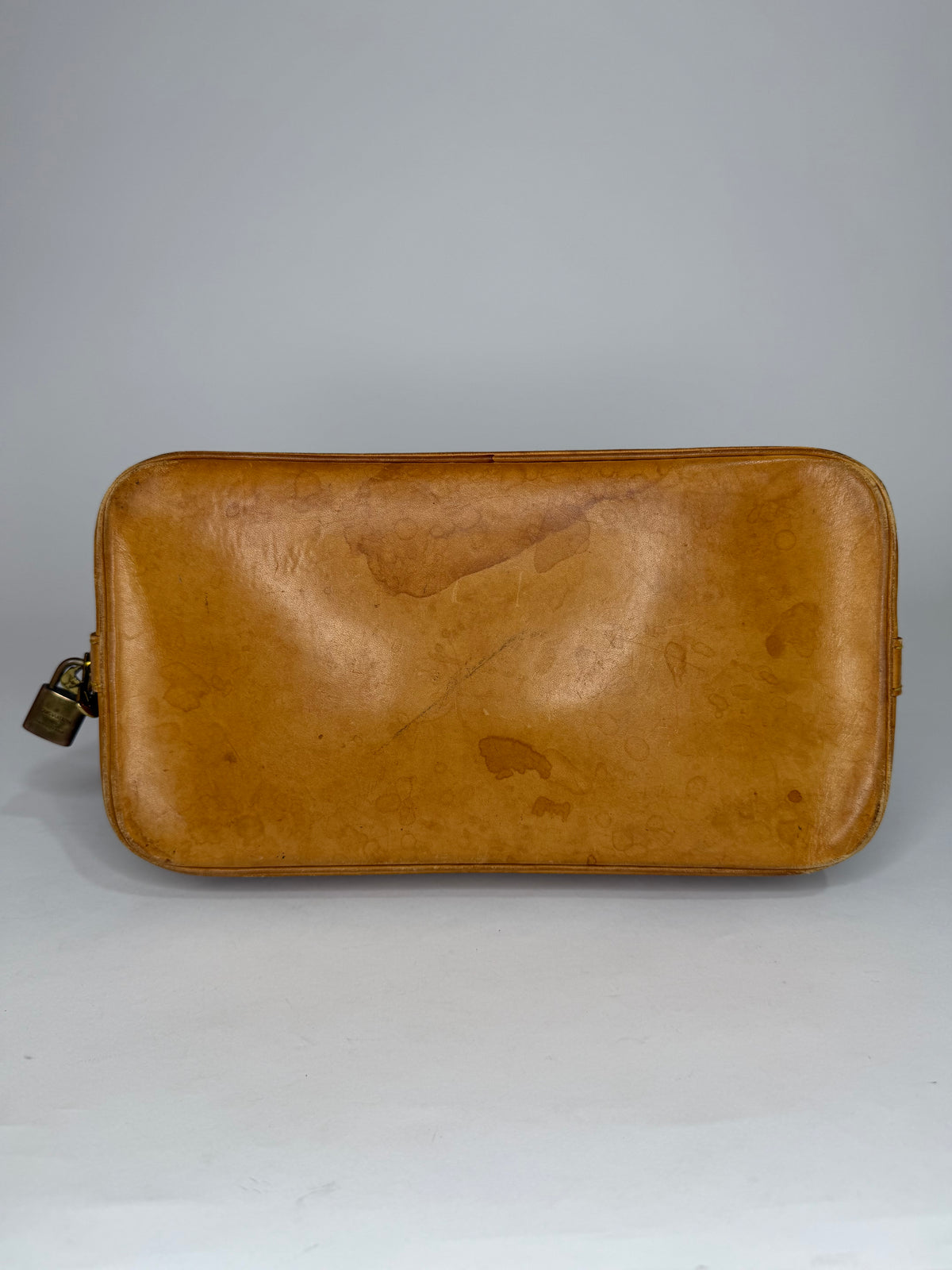 Louis Vuitton Monogram Canvas and Leather Alma PM Bag