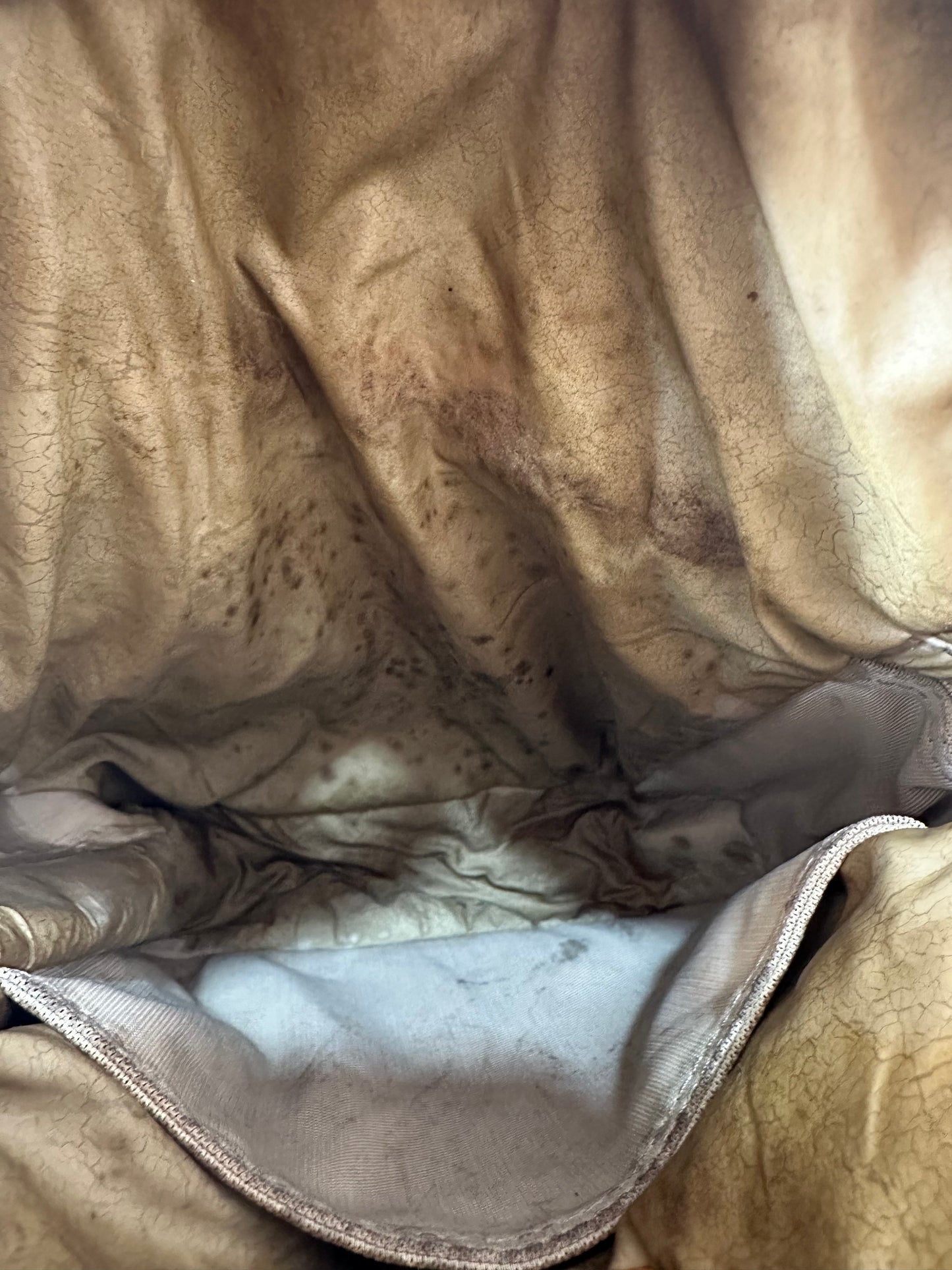 Louis Vuitton Terre Damier Geant Citadin Messenger Bag